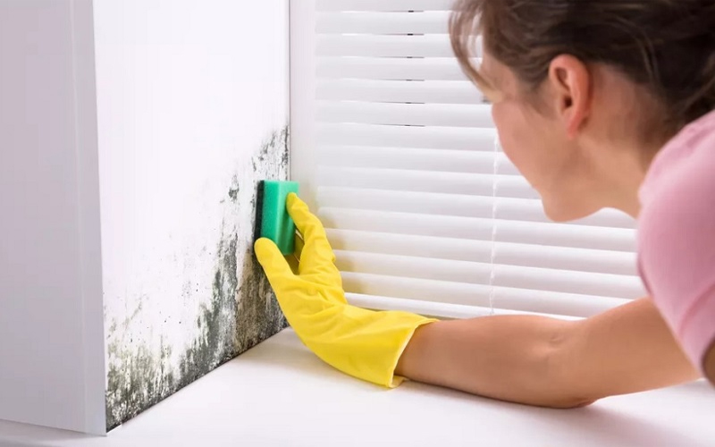 Hướng dẫn cách làm sạch tường nhà bị mốc đơn giản