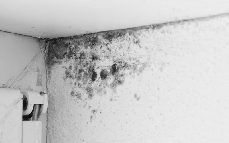  Tường nhà sử dụng chất liệu không đạt đúng chất lượng nên dễ dàng bị ẩm, thấm nước